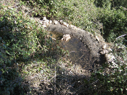 Construcció de petit abeurador per a la fauna salvatge. Març 2014