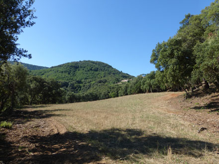 Espai obert enmig d’una zona extensa de bosc sembrat per a la fauna salvatge. Març 2014