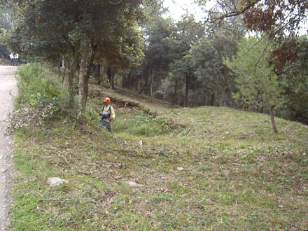 Treballs d’estassada manual per a l’eliminació de la vegetació. Gener 2014