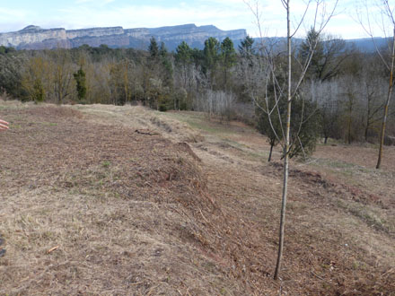 Revalorització d’antigues hortes a les proximitats de Vilanova per a la seva millora paisatgística. Febrer 2014