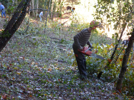 Detall d’operaris durant els treballs de tallada del bosc. Octubre 2014