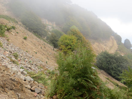 Aspecte general de l’entorn de les mines de Sant Marçal. Octubre 2014