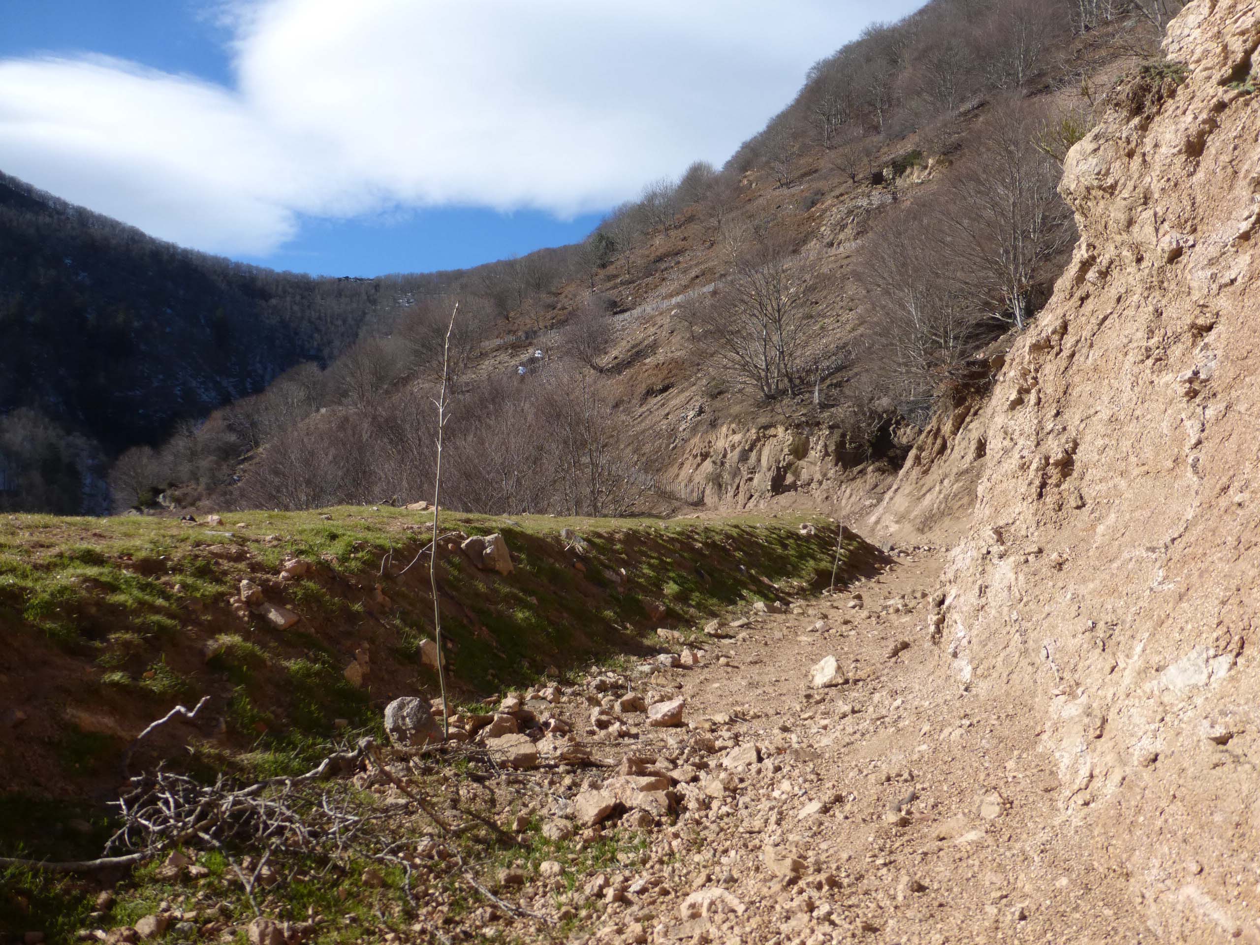 Canal de conducció d’aigües pluvials per a la conducció i control de l’erosió laminar i concentrada, amb sembra i plantació de blades. Gener 2015