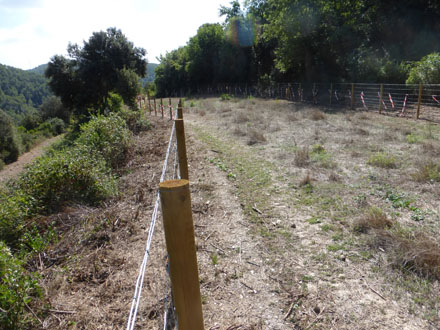 Segon tancat per a estades temporals del ramat d’ovelles. Setembre 2014