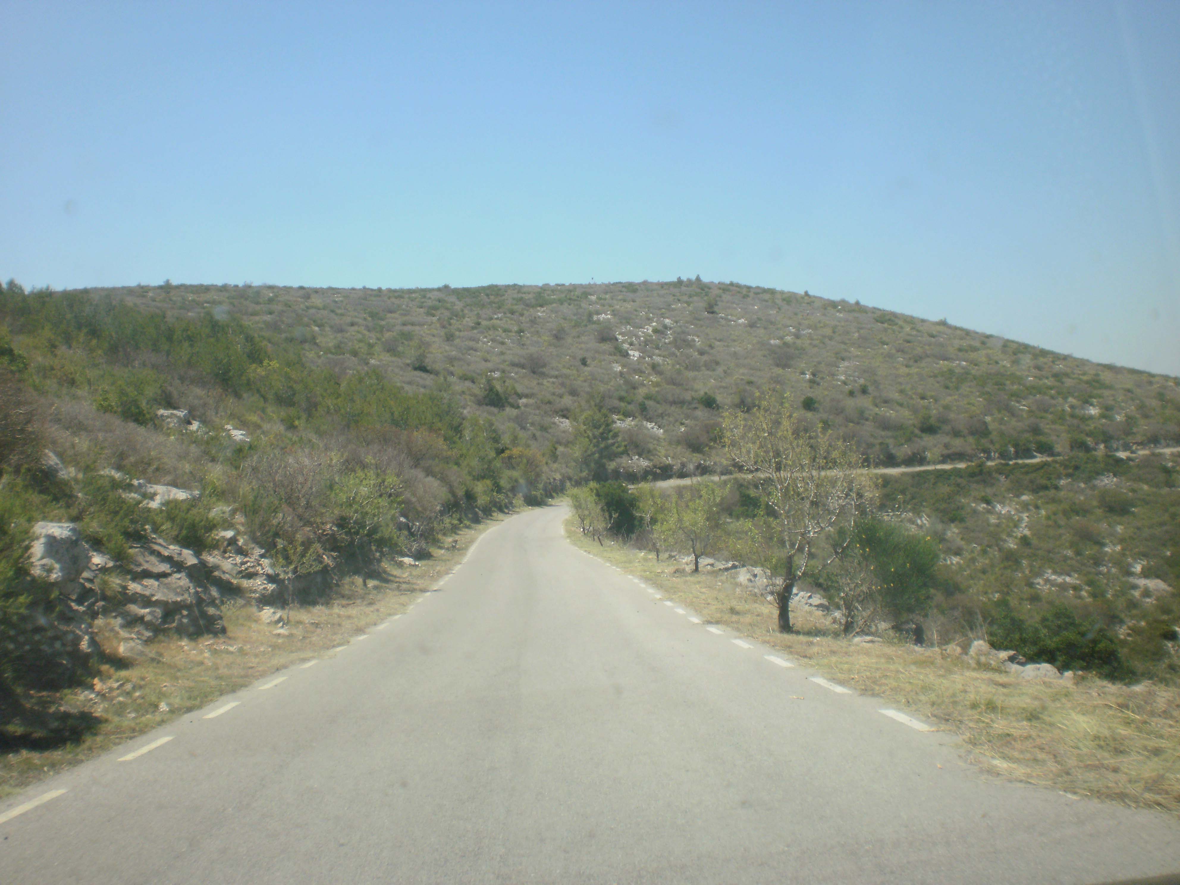 Manteniment de la secció de servei dels camins principals del Parc. Juny 2015