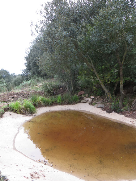 Restauració de bassa a la Coma d’en Vila per  a la fauna silvestre. Octubre 2014