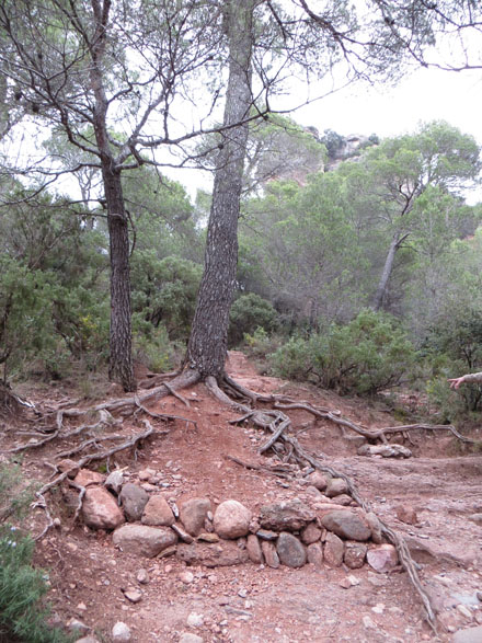 Consolidació de zones amb elevada erosió amb material de l’entorn i de baix impacte ambiental. Octubre 2014