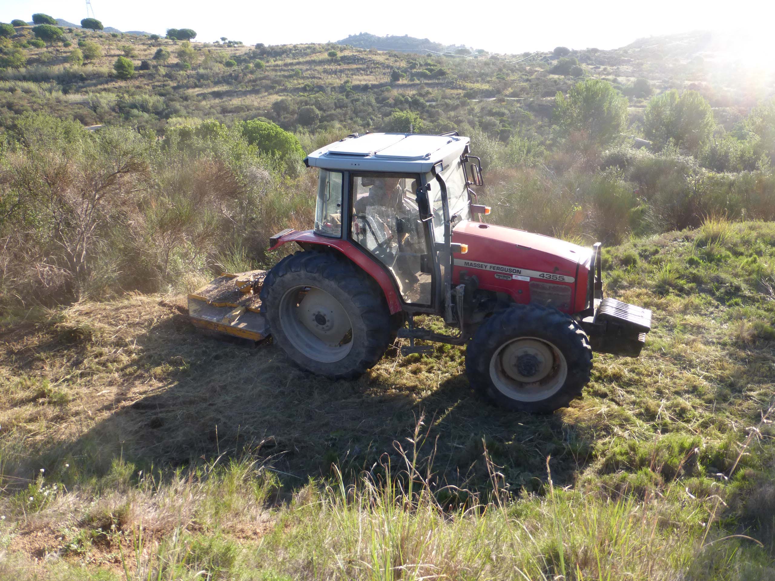 Treballs de desbrossada mecanitzada per eliminar el matoll i potenciar l’herbassar. Octubre 2015