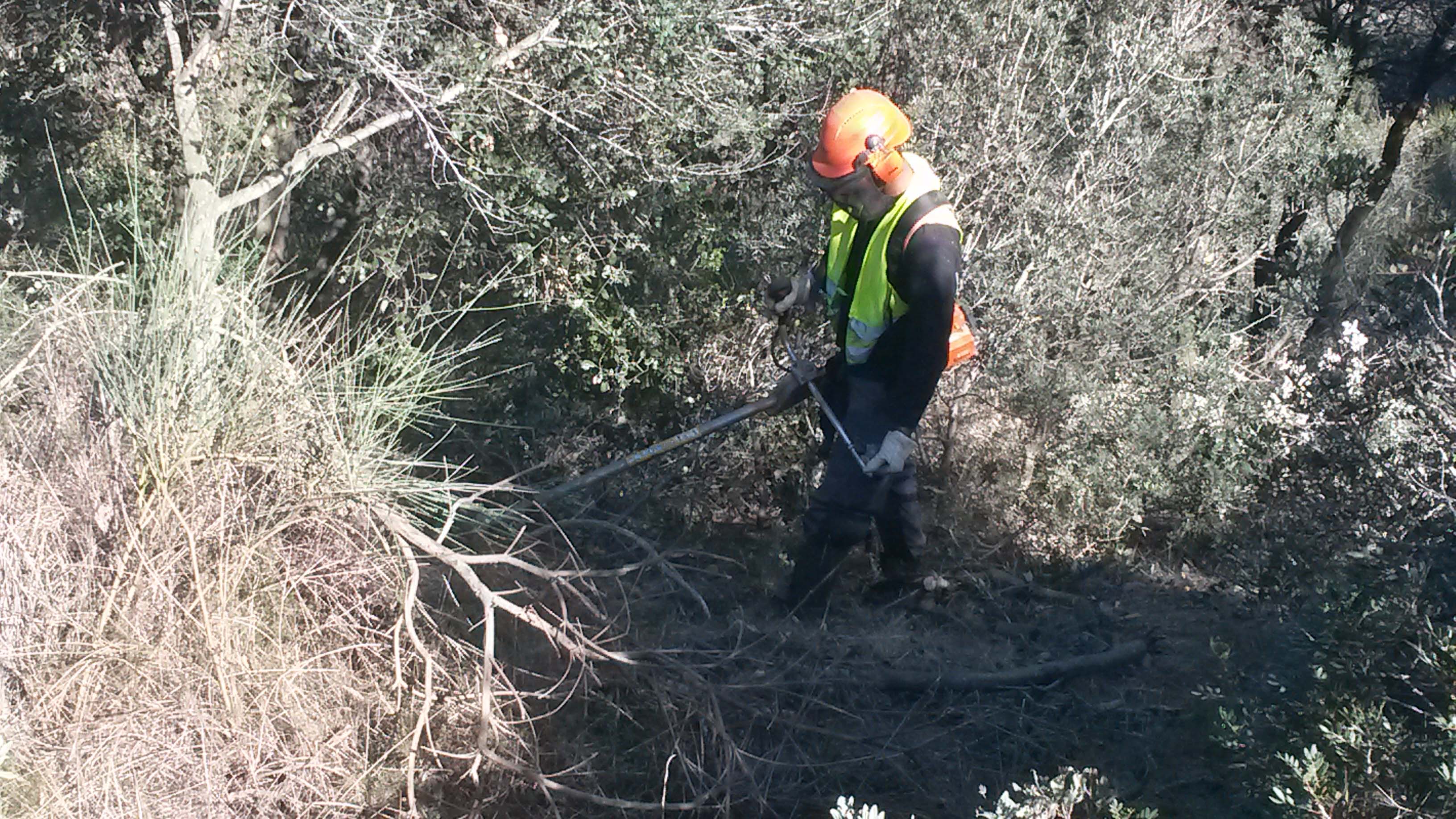 Treballs de millora forestal i eliminació de restes manual amb motodesbrossadora. Març 2016