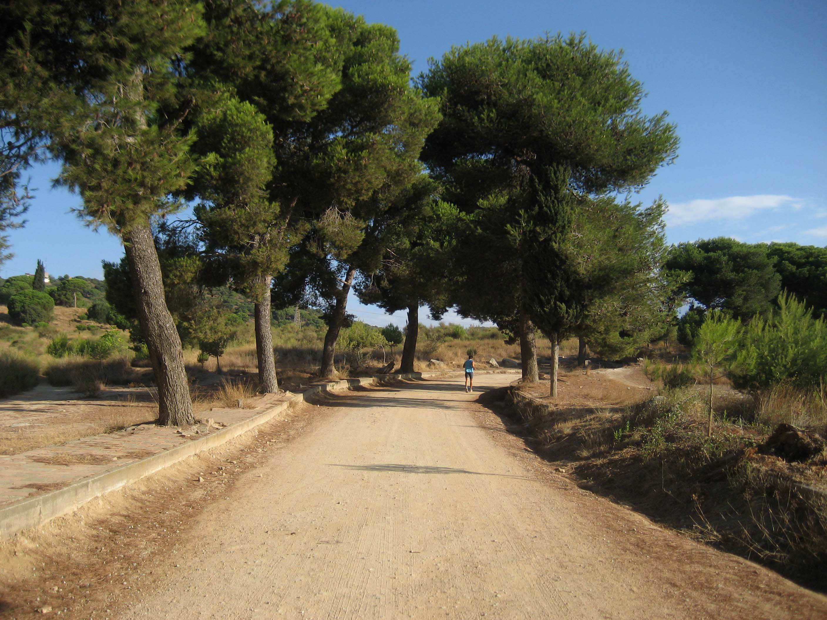 Estat actual de l’accés a Sant Jeroni des de Sta Coloma, amb material d’obra obsolet. Setembre 2015