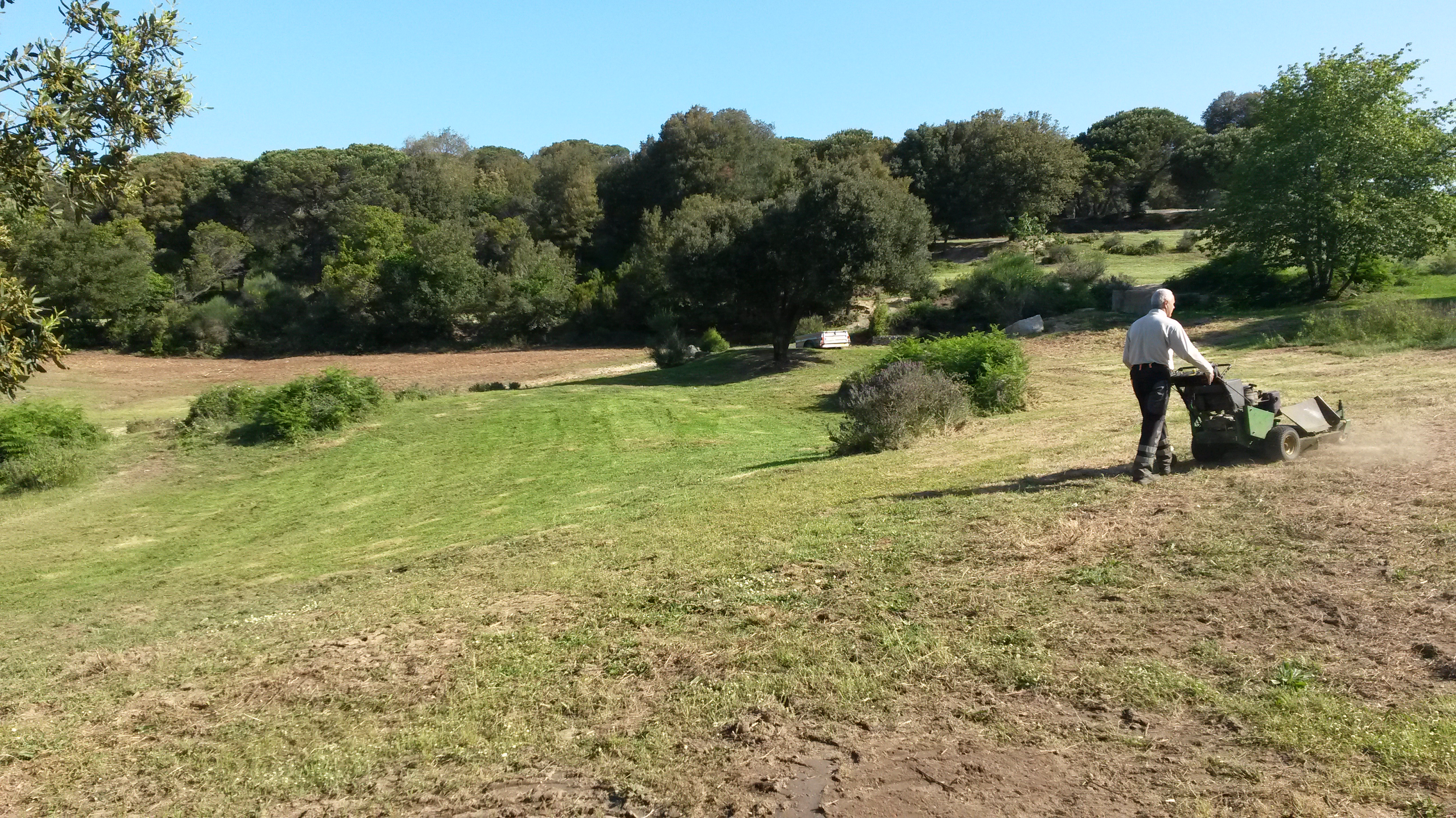 Treballs de millora en elements de bioenginyeria en zona d’estada de visitants del Santuari. Juny 2016