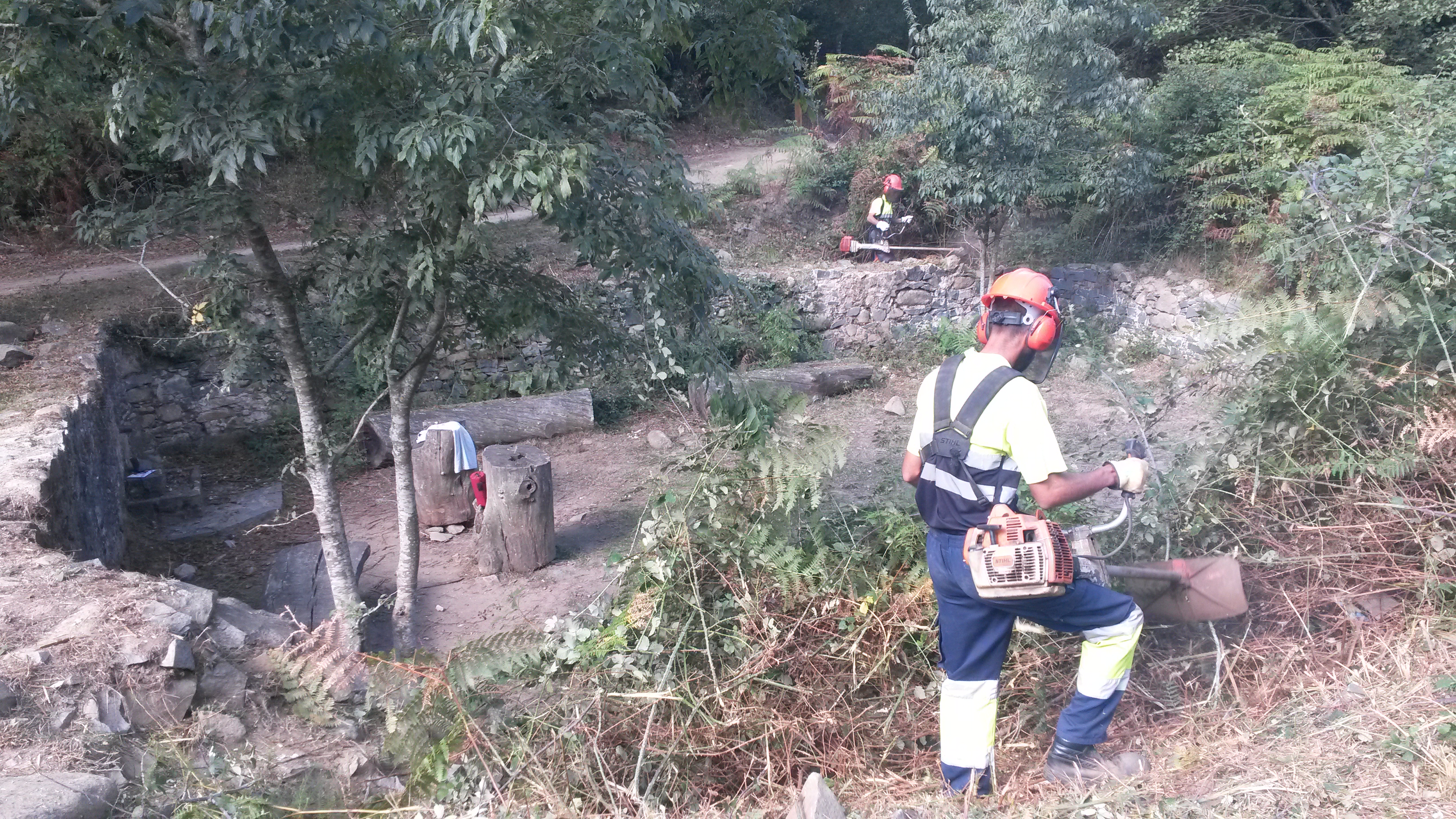 Treballs previs d’estassada del matoll al voltant de la font. Setembre 2016