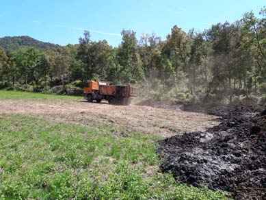 Transport i estesa de material en zona segura de prat on servirà com a adob per a la futura sembra (després de l’assecatge i mort de la invasora). Maig 2017 