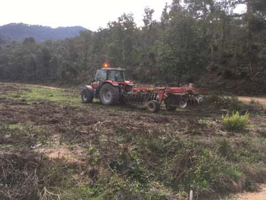 Estesa de sediments en pastura com a aportació de matèria orgànica i llims. Octubre 2017