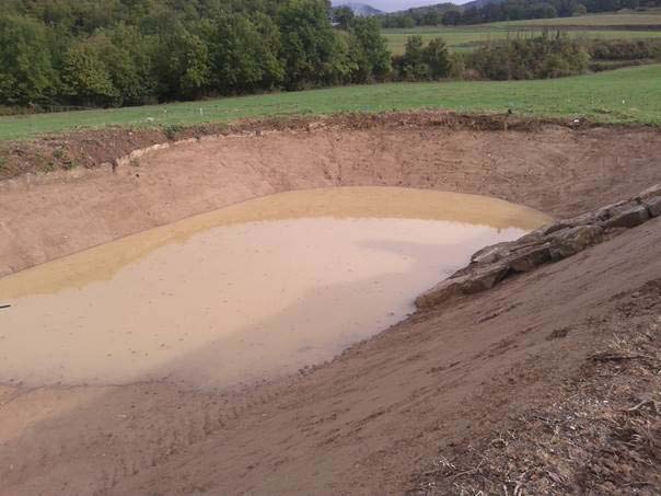 Recuperació de la bassa de terra de Planeses. Setembre 2016