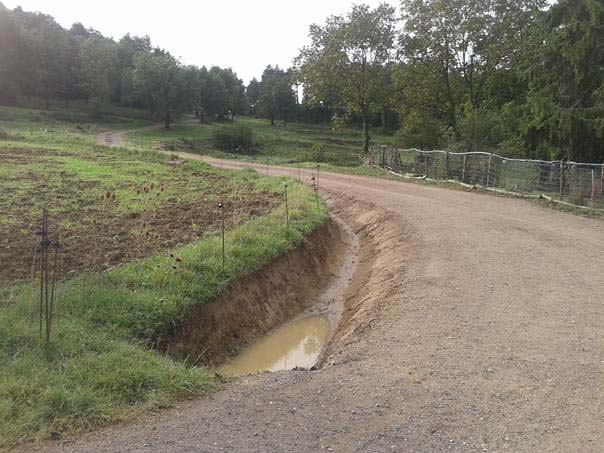 Cuneta d’aigües pluvials destinada a la recollida i conducció d’aigua per a la bassa. Setembre 2016