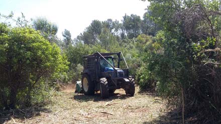 Treballs d’estassada de matoll per a la de recuperació d’espais oberts aprofitables pels ramats d’ovelles i cabres. Maig 2017