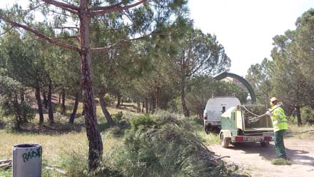 Treballs d’eliminació de restes vegetals amb molí triturador en zones d’elevada freqüentació. Maig 2017