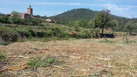 Estat final de les feixes recuperades a Can Montmany. Maig 2017