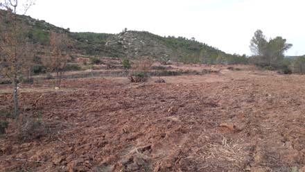 Recuperació de pastures a les zones de major profunditat de sòl prèviament als treballs de sembra. Desembre 2017