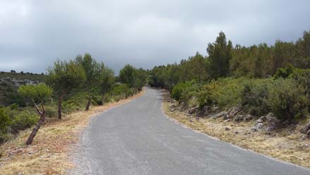 Secció de servei a banda i banda dels principals camins que travessen el Parc. Juny 2017