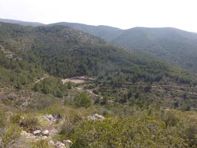 Vista general de la zona d’actuació. Març 2017