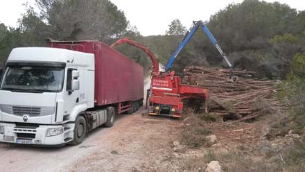 Procés de trituració de la fusta per a destinar a estella (combustible forestal). Març 2017