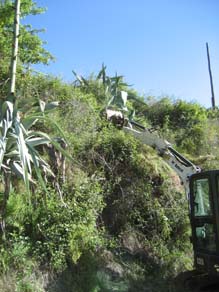 Treballs d’arrencada amb retroexcavadora, càrrega en camió i transport a abocador. Juny 2017