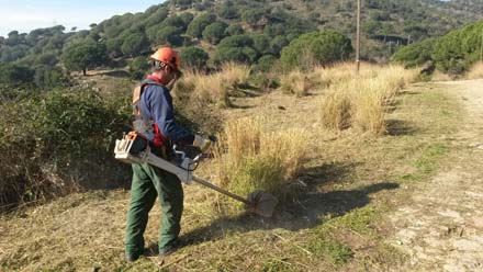 Treballs previs d’estassada de l’entorn immediat a la zona d’accés. Febrer 2017