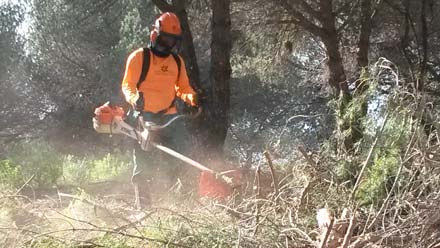 Detall d’operari eliminant les restes amb motodesbrossadora. Febrer 2017