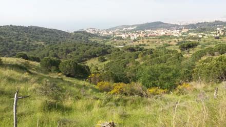 Vista general del paisatge a intervenir. Gener 2017