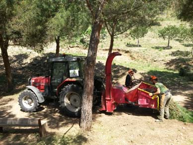 Treballs d’eliminació de restes amb molí triturador en zona ajardinada dins del parc. Abril 2017