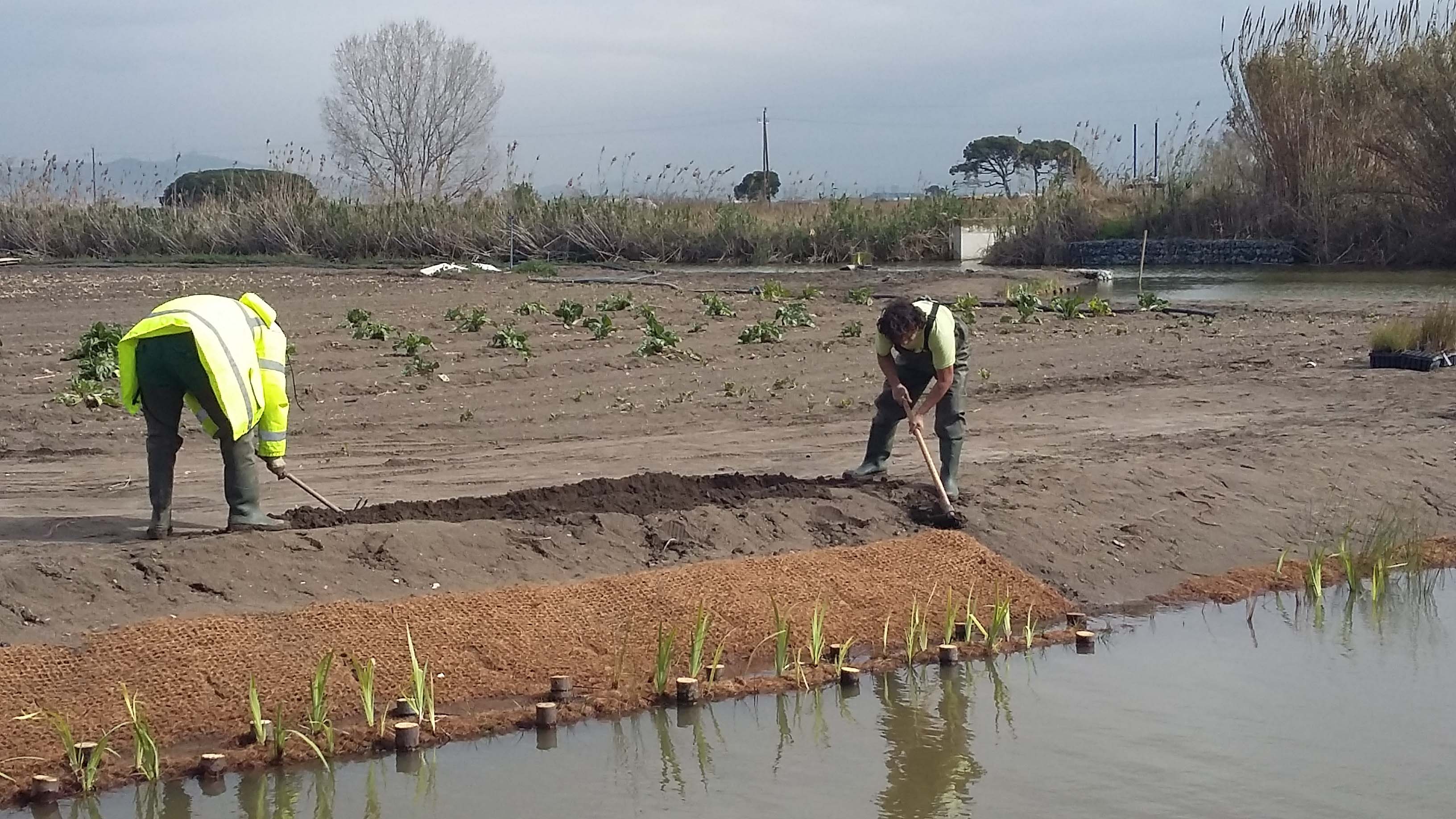 Treballs de plantació i consolidació dels marges. Març 2016