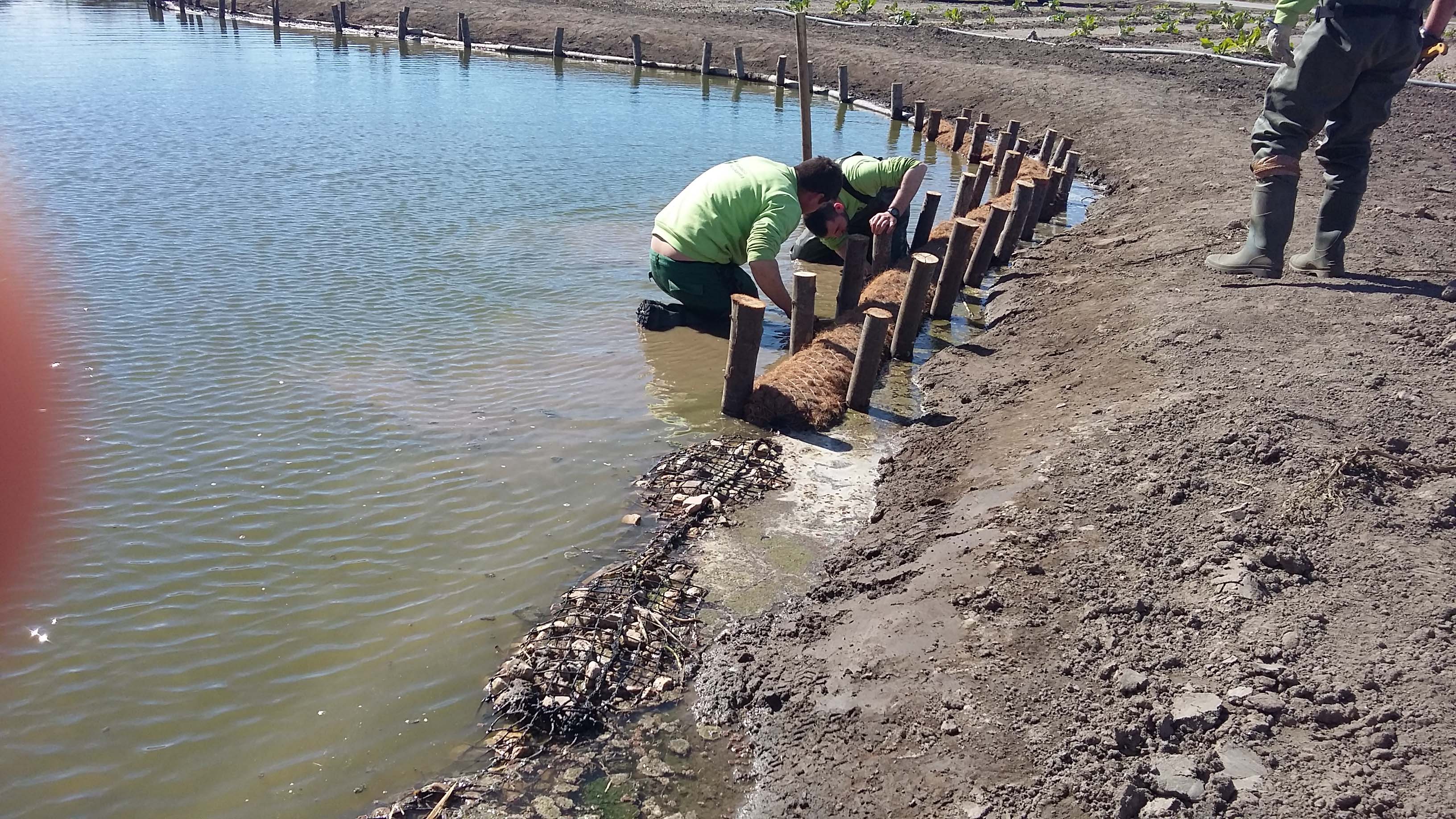 Treballs d’instal•lació d’elements de fixació i consolidació a les zones d’elevada erosió. Març 2016