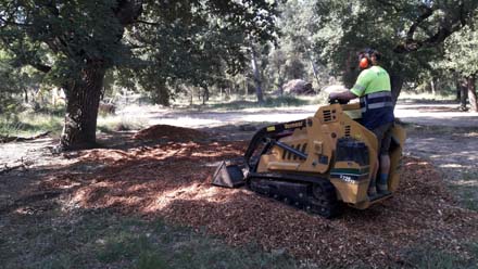 Estesa de matèria orgànica (estella forestal) per millorar la matèria orgànica al sòl. Juny 2019