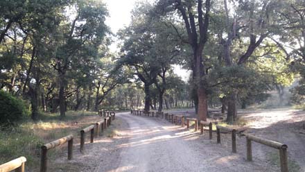 Tanca de separació de la roureda singular del camí d’accés per evitar el trànsit de vehicles dins la roureda i la compactació del sòl. Juny 2019