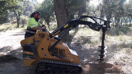 Realització de clots d’esponjament del sòl per augmentar la retenció d’aigua i afavorir les noves arrels dels roures. Juny 2019