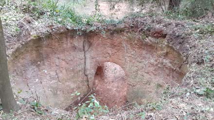 Neteja general del forn de terra amb tallada de vegetació i retirada de deixalles a abocador. 