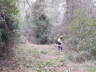 Treballs de desbrossament al camí d’accés. Gener 2020