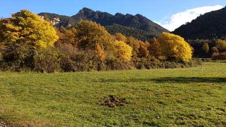 Mosaic agroforestal de la zona a la tardor. Novembre 2019