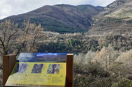 Plafó informatiu sobre el paisatge boscós al Prepirineu. Novembre 2020