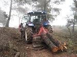 Desembosc de fusta amb tractor i cabrestant. Març 2007