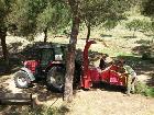 Treballs d’eliminació de restes amb molí triturador en zona ajardinada dins del parc. Abril 2017