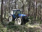 Desembosc dels arbres tallats amb tractor. Gener 2006