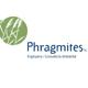 Phragmites, SL