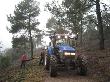 Desembosc de fusta d'alzina amb tractor forestal. Març 2007