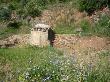 Restauració d’elements patrimonials relacionats amb l’agricultura tradicional (cabanyes i murs de pedra). Setembre 2008