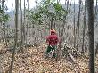 Operari forestal en tasques de recollida de restes. Març 2009