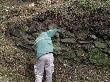 ﻿Restauración de un muro de piedra seca. Febrero 2008