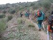 Accés a la zona de plantació de la colla equipats amb els plantadors. Febrer 2009